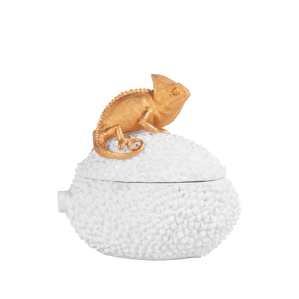 Potiche Camaleao Pequeno