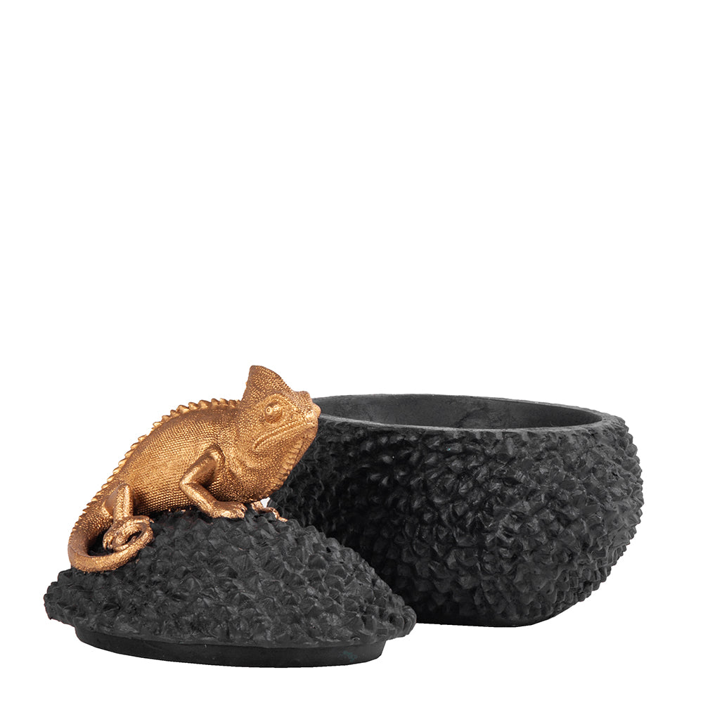 Potiche Camaleao Pequeno