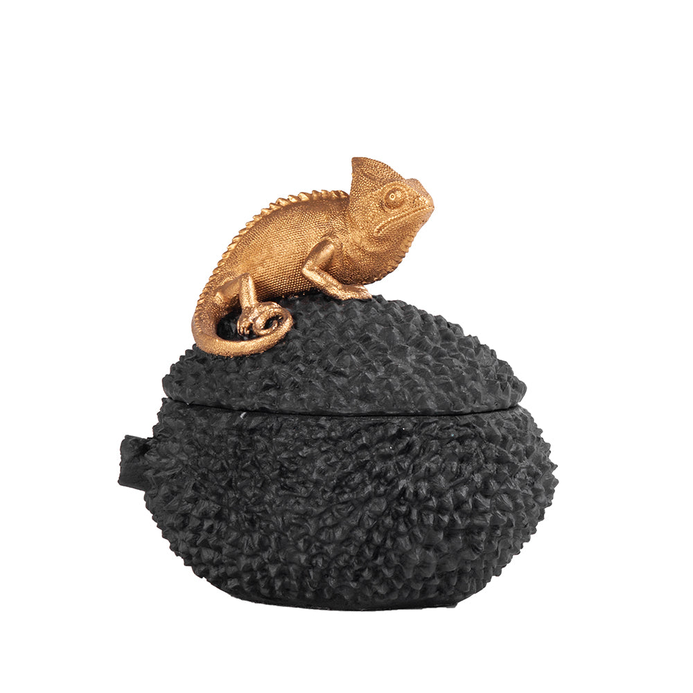 Potiche Camaleao Pequeno